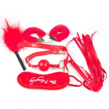 【情趣用品】情趣五件套手环鞭子眼罩调情羽毛口噻另类玩具特殊情趣用品SM0034