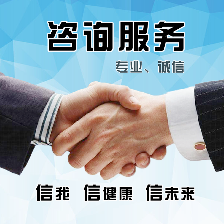 咨询服务费（专业诚信）